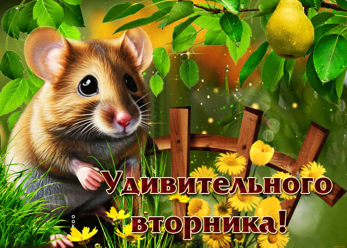 Postcard творческая летняя гиф-открытка удивительного вторника