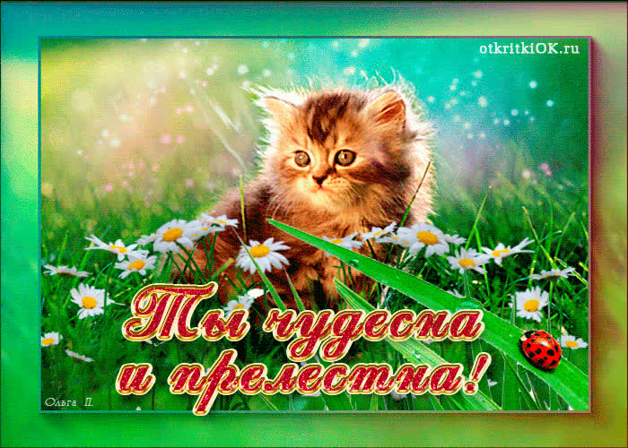 Картинка ты чудесная и прелестная