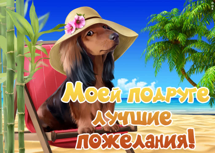 Картинка ты хорошая подруга