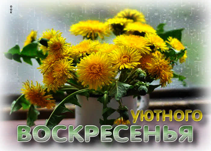 Postcard тёплая, озарённая гиф-открытка уютного воскресенья