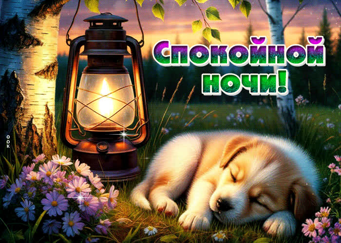Postcard утончённая милая гиф-открытка спокойной ночи