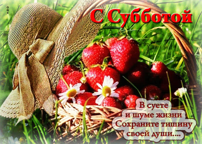 Postcard в суете и шуме жизни сохраняйте тишину своей души