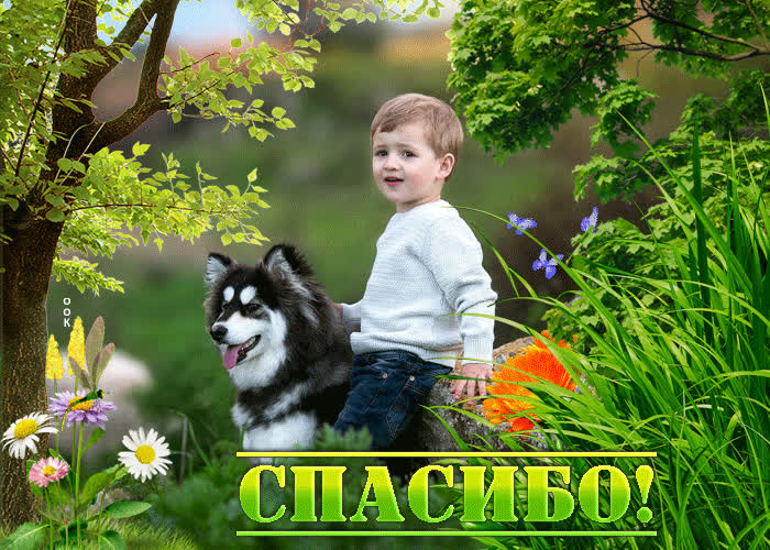 Picture вдохновенная гиф-открытка спасибо!