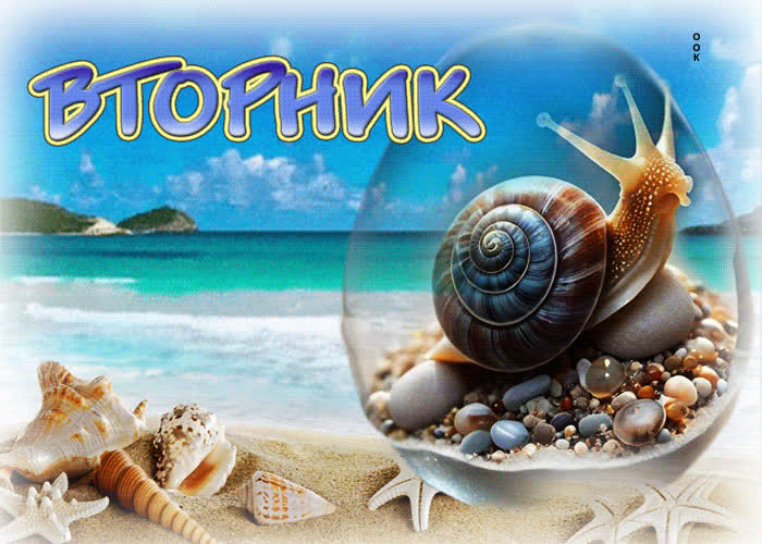 Postcard вдохновляющая и мотивирующая гиф-открытка вторник