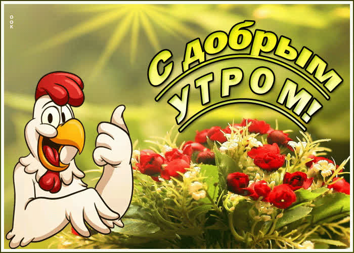 Картинка веселая картинка доброе утро