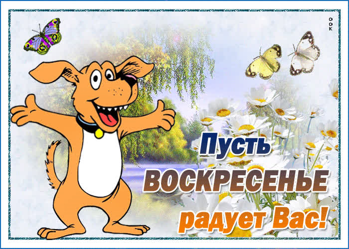 Картинка веселая картинка воскресенье