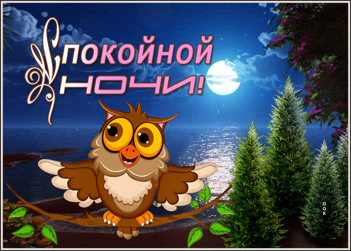 Picture виртуальная открытка с совой и морем спокойной ночи