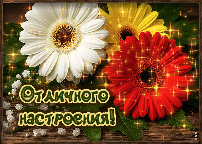 Picture волшебная, цветущая гиф-открытка отличного настроения