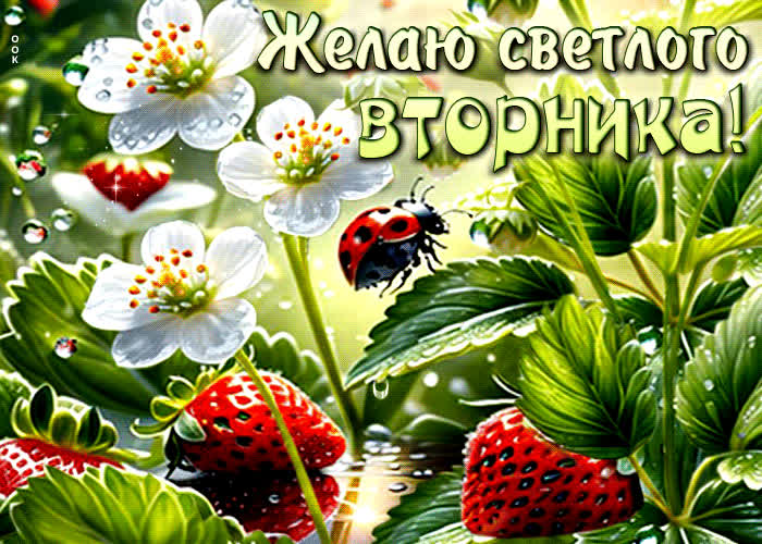 Picture волшебная летняя гиф-открытка желаю светлого вторника