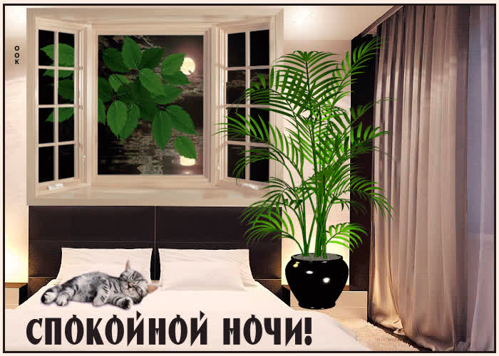 Картинка волшебных снов