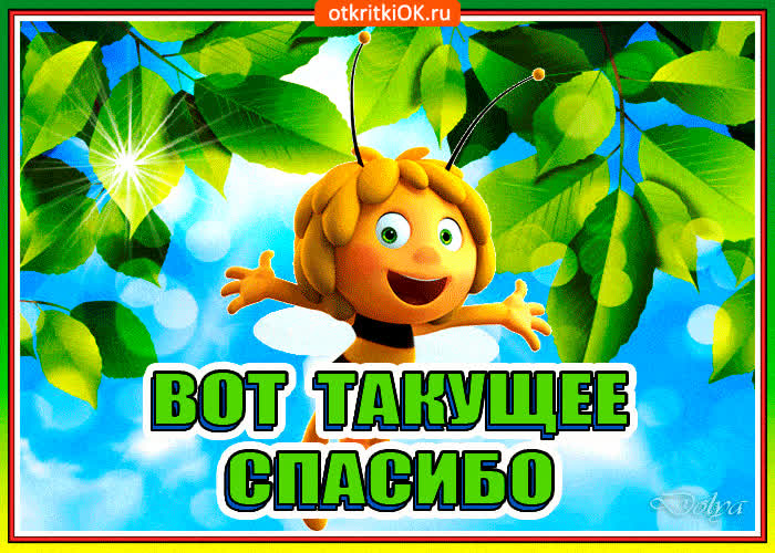 Картинка вот такое вот спасибо