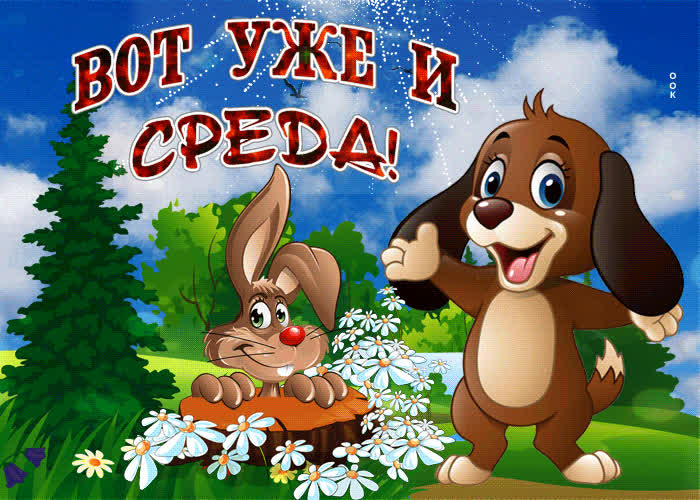 Картинка вот уже и среда настала