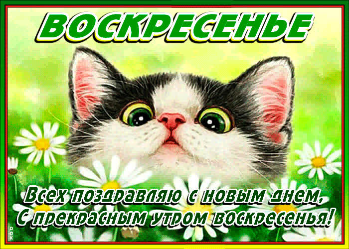 Картинка всех поздравляю с новым днем воскресенья
