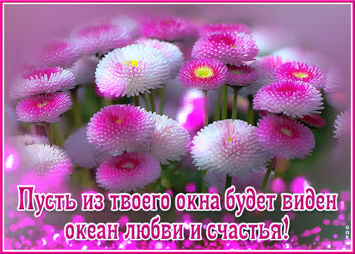 Picture хорошая открытка пусть из твоего окна будет виден океан счастья