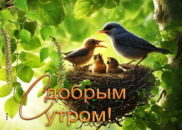 Postcard яркая гиф-открытка с птичками с добрым утром