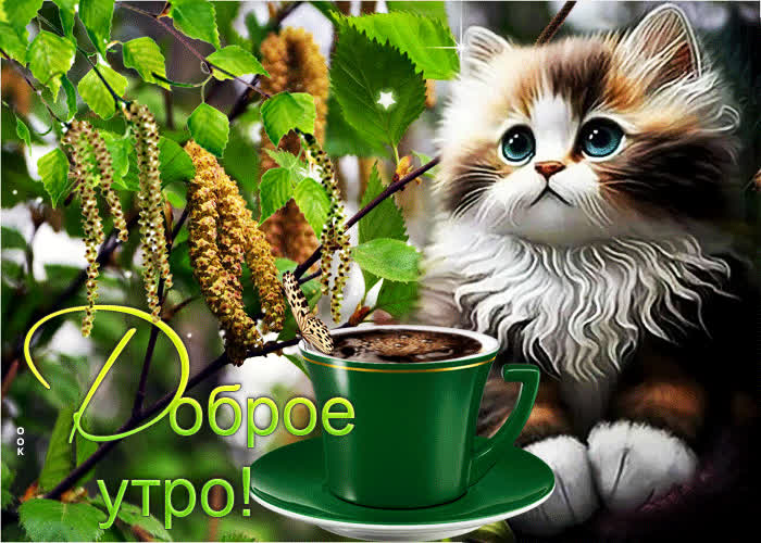 Postcard яркая и красочная гиф-открытка с котиком доброе утро