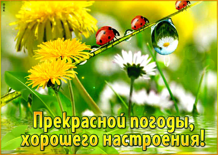 Picture яркая и светлая открытка прекрасной погоды, хорошего настроения
