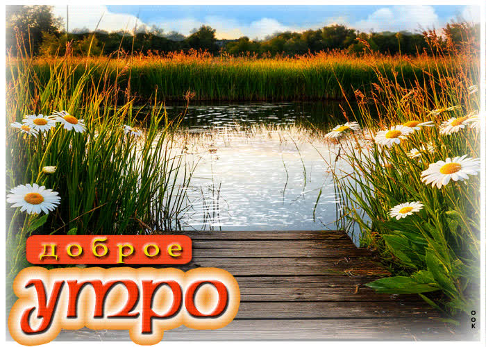 Postcard яркая летняя гиф-открытка доброе утро