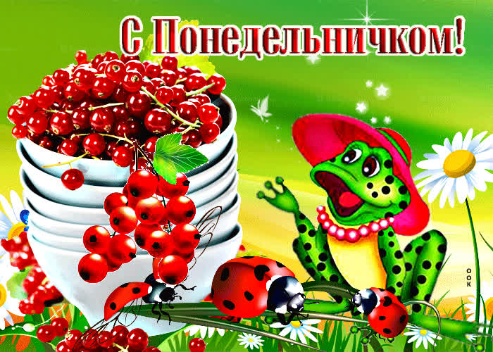 Picture яркая открытка с жабой с понедельничком
