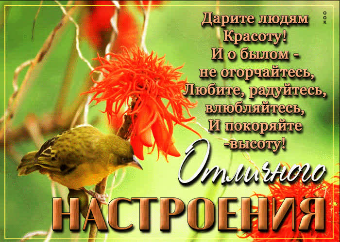 Picture яркая открытка со стихотворением отличного настроения