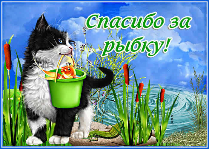 Picture забавная открытка спасибо за рыбку! с котиком
