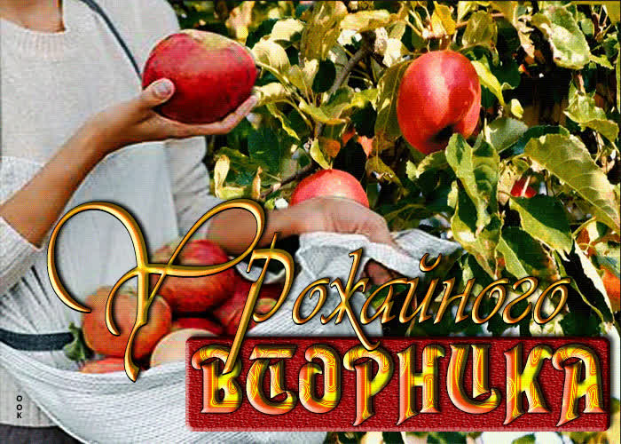 Picture замечательная открытка урожайного вторника