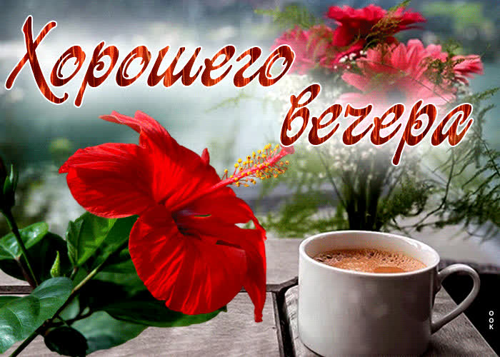 Postcard захватывающая открытка с цветами хорошего вечера