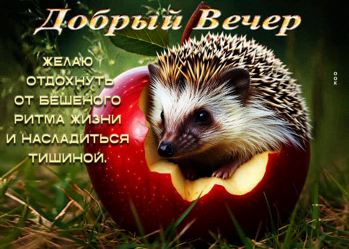 Picture желаю отдохнуть от бешеного ритма жизни и насладиться тишиной