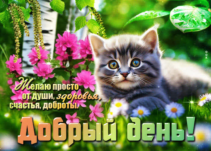 Postcard желаю просто от души здоровья, счастья, доброты! добрый день
