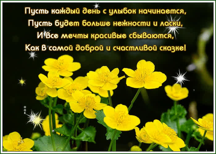 Картинка желаю добра и настроения