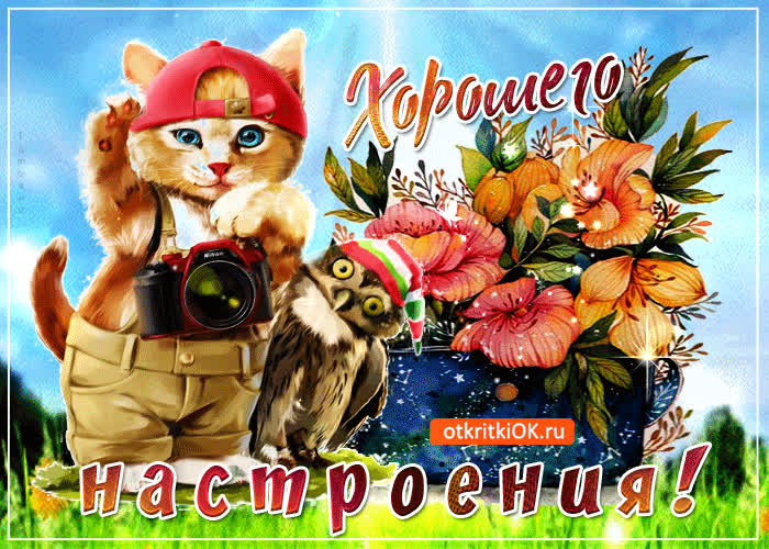 Картинка желаю хорошего настроения, как у меня