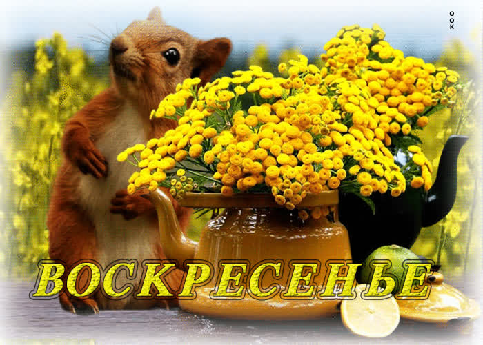 Picture живая анимационная летняя открытка воскресенье