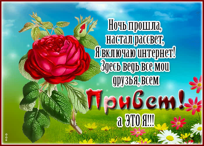 Postcard живая открытка всем привет! а это я!